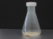 beuta Erlenmeyer Nalgene® da