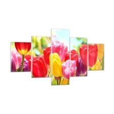 Quadro su Vetro 125x70cm