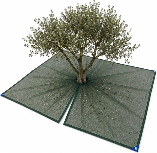 Rete raccolta olive con spacco - olive,