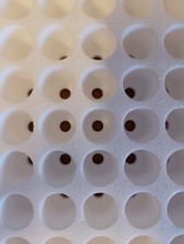 Seminiera in polistirolo 160 Fori