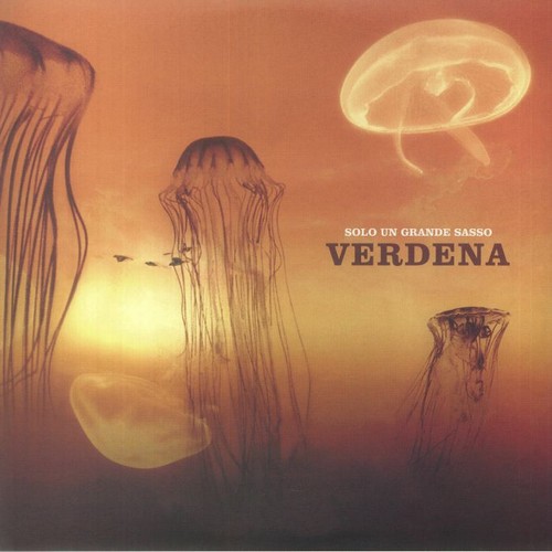 Verdena solo grande sasso - verdena,