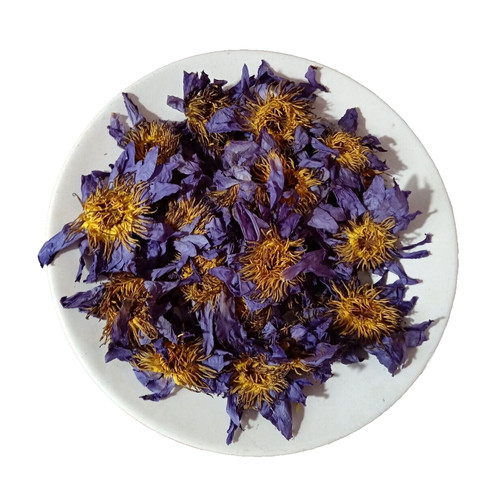 Fiore loto blu - loto,