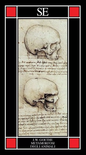 Metamorfosi degli animali - animali,