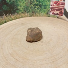 Tartufo Bianco d'Alba Fresco