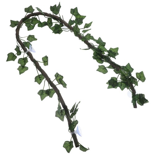 Accessori terrario per - ,