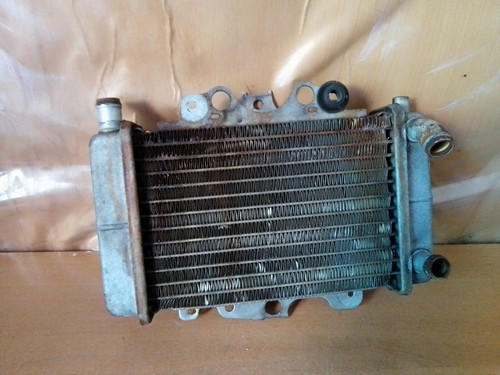 Radiatore acqua malaguti - radiatore,