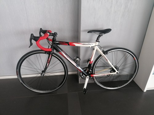 Bicicletta bottecchia - bicicletta,