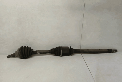 51876350 semialbero ant - semialbero,