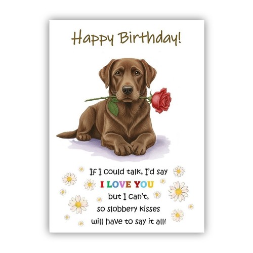 Biglietto compleanno labrador - compleanno,