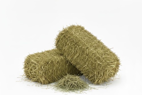 Fieno naturale per cavalli - naturale,