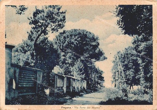 Ed439 cartolina fregene via - ed439,