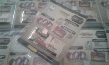 RUSSIA 2018 PANINI BUSTINA