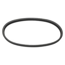 Cinghia di trasmissione