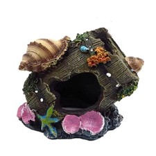 Relitto con Conchiglie per