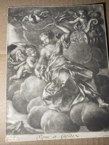 Venere cupido e - "venere,