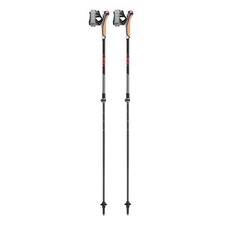 LEKI Instructor Lite
