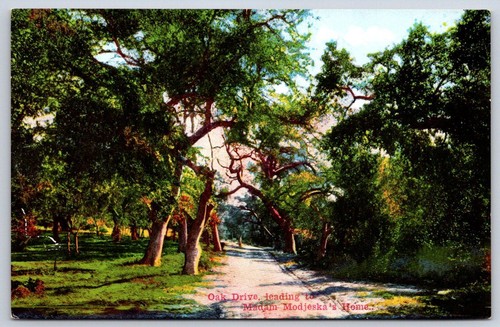Cartolina antica california - cartolina,