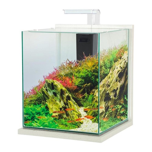 Acquario zolux jalaya - acquario,
