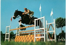 spt 17 LO SPORT NELL'ESERCITO - EQUITAZIONE - non VG - a cura di Statesercito