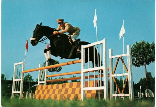 Spt sport nell esercito - spt, 17