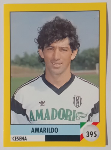 Figurina vallardi 1991 il - 1991-92,