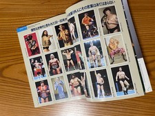 1989 Giappone BBM Wrestling