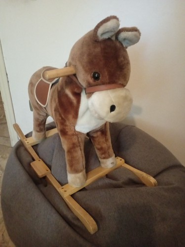 Cavallo dondolo teorema - cavallo,