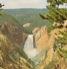 Cartolina Lower Falls & Grand