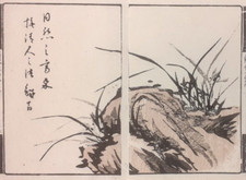 ORCHIDEA HAIKU POESIA Meiji