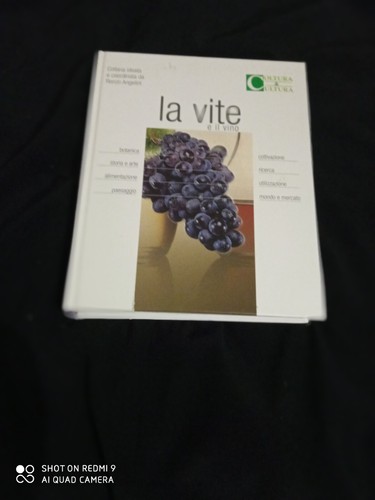 Vite vino coltura - vite,