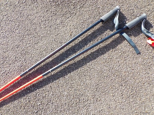 Bastoncini sci alpino - bastoncini,