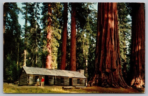 Yosemite national park - national,