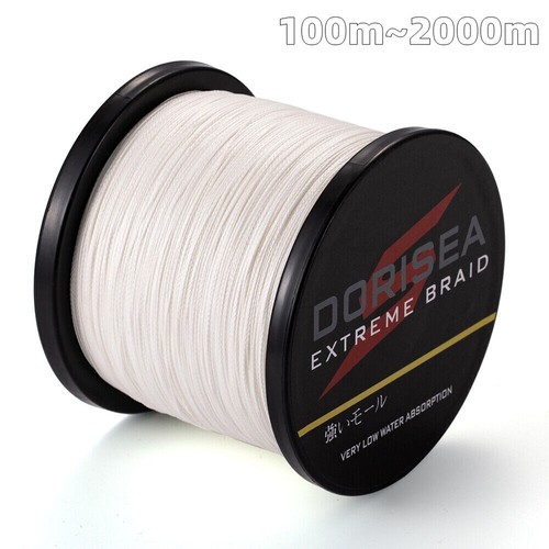 Dorisea 100m 2000m 6lb 500lb - dorisea, 6lb-500lb
