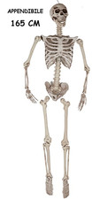 HALLOWEEN SCHELETRO DECORATIVO