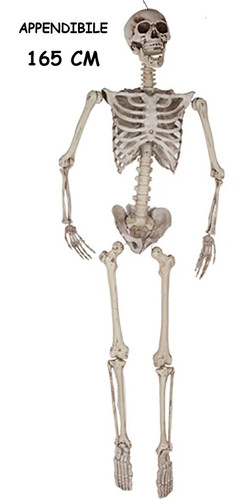 Halloween scheletro decorativo - halloween,
