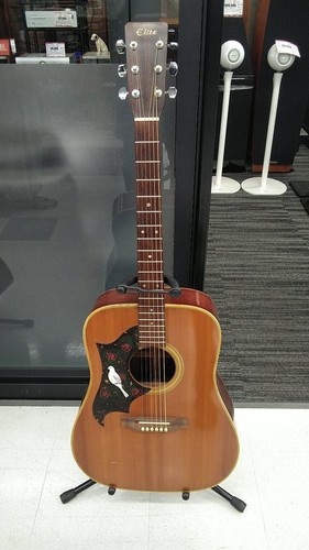 Elite takamine chitarra - takamine,