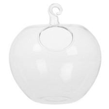  Acquario in vetro con