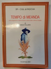 Diego Pulliero TEMPO DI MEANDA