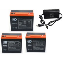 3pz 6-DZM-20 12V 24Ah Batteria