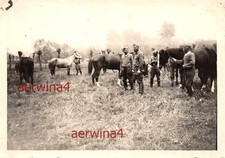 Soldati e cavalli tedeschi in