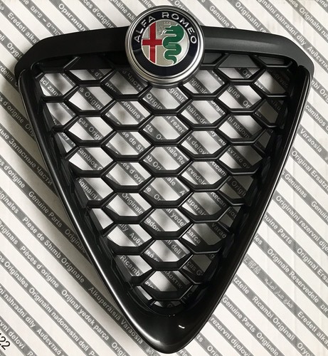 Scudo griglia anteriore - scudo,