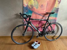 bici da corsa Ridley in carbonio misura M/L (altezza 172/178)