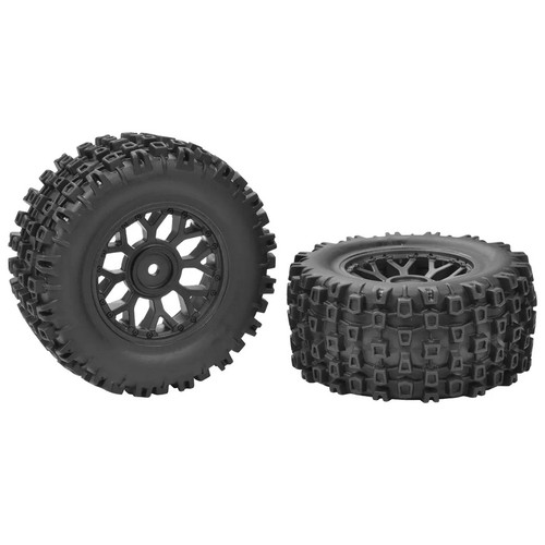 Team corally 00230 - corally, set