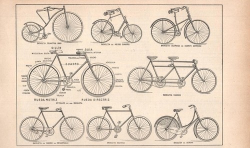 Stampa antica biciclette - stampa,