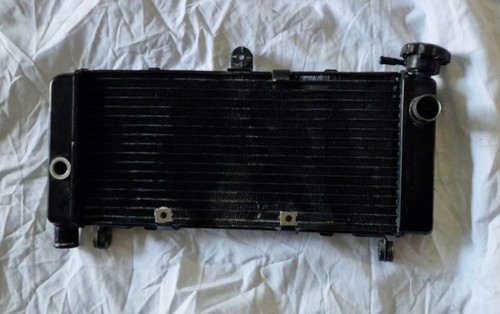 Radiatore honda hornet 600 - radiatore,