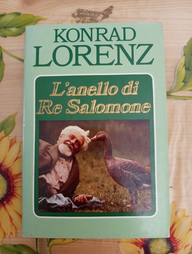 Anello salomone - re,