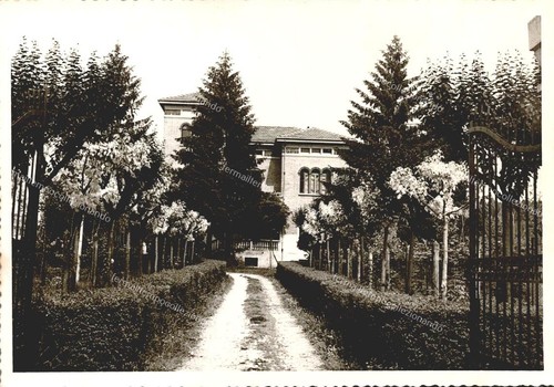 T1043 cartolina arquà - t1043,
