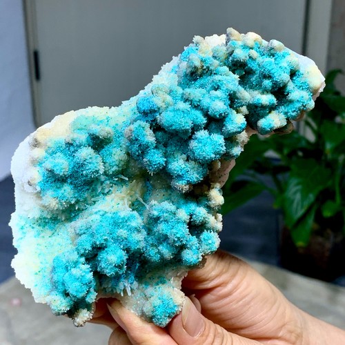 465g raro calcite ciano - 465g,