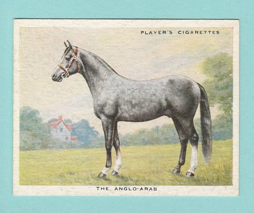 Types horses john player - types, of