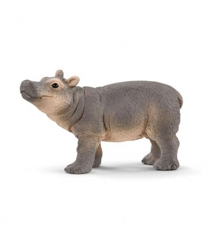 Cucciolo ippopotamo - cucciolo,